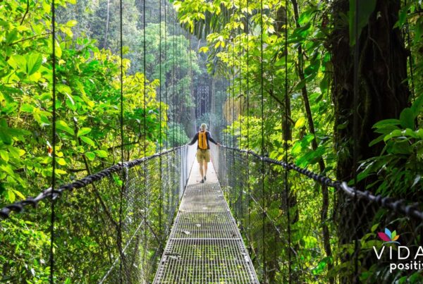 Costa Rica: El corazón verde de América Central